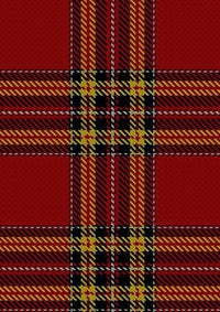 Glennie_Personal_Tartan_Fabric_4116
