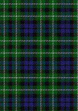 Graham_of_Montrose_2_Tartan_Fabric_1044