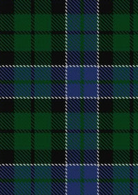 Graham_of_Montrose_Tartan_Fabric_746