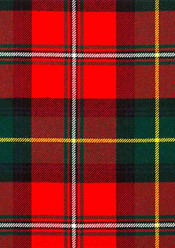 Hand Made Body Modern Tartan Fabric