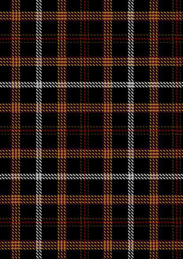 HarryPotterTartan