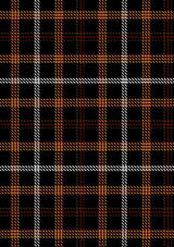 HarryPotterTartan