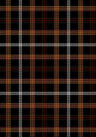 HarryPotterTartan