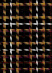 HarryPotterTartan
