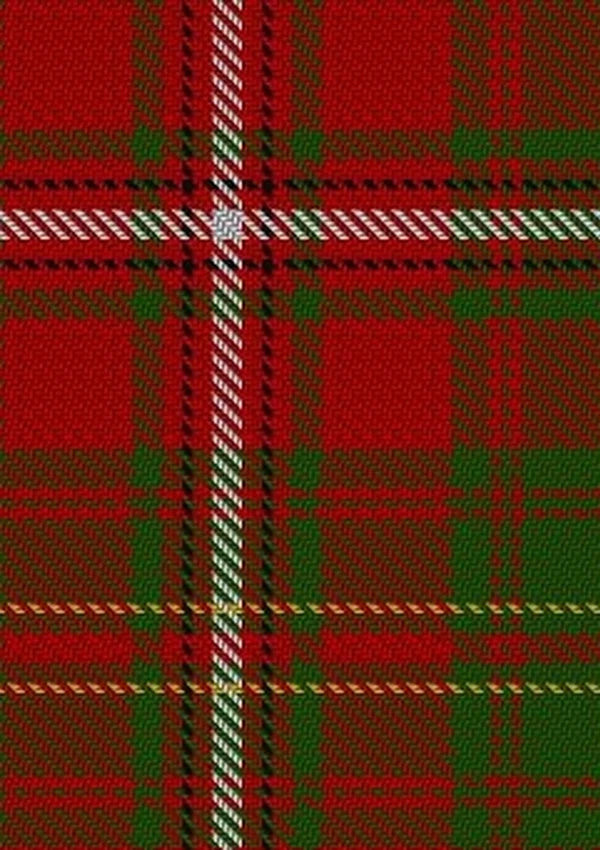 Hay_2_Tartan_Fabric_1555