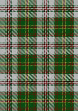 Hay_White_Dress_Tartan_Fabric_1556