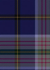 Heston_Tartan_Fabric_4221