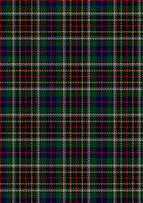 Hislop_Hyslop_Hunting_2_Tartan_Fabric_2135