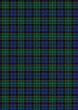Hogarth_of_Firhill_2_Tartan_Fabric_199
