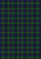 Hogarth_of_Firhill_Tartan_Fabric_198