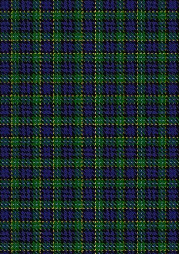 Hogarth_of_Firhill_Tartan_Fabric_198