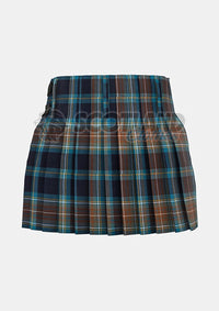 Holyrood Tartan Kilt Back