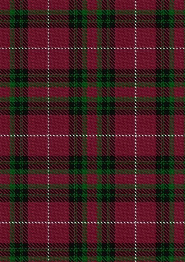 Hunter_of_Bute_Personal_Tartan_Fabric_6671