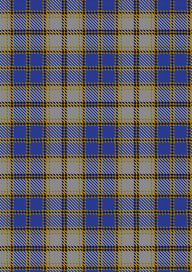 Independence Tartan Fabric