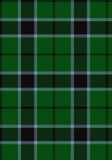 Innes_Hunting_Tartan_Fabric_368