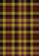 Jardine_of_Castlemilk_Tartan_Fabric_1431
