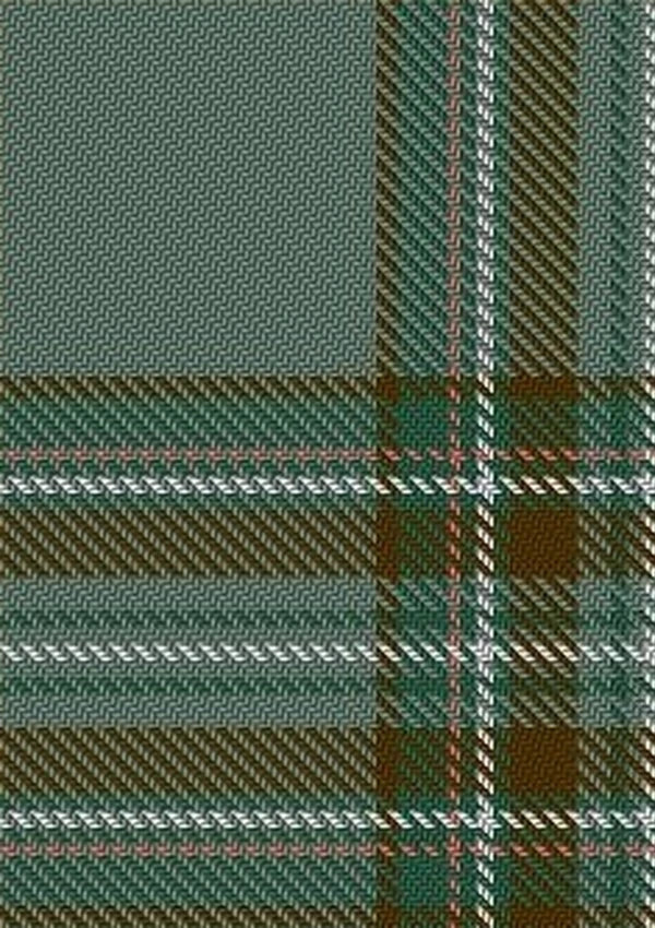 Kelly_Dress_Tartan_Fabric_6394