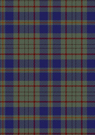Kildare_CountyTartan