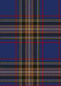 Lady_Diana_Plaid_Tartan_Fabric_484