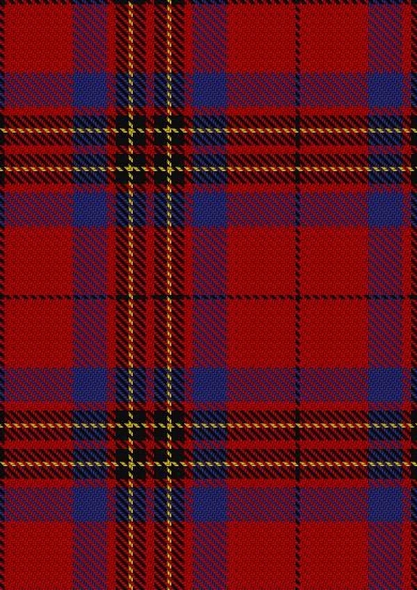 Leslie_Red_VS_Tartan_Fabric_1142