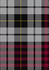 Little Dress Tartan Trouser