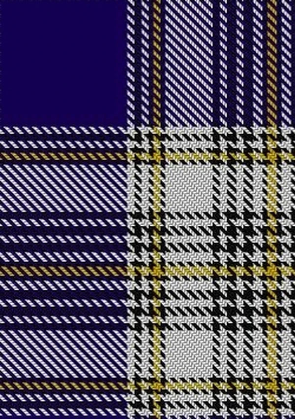 Livingstone_Dress_Tartan_Fabric_650