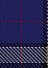 Lloyd_of_Astargus_Tartan_Fabric_5771