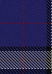 Lloyd_of_Astargus_Tartan_Fabric_5771