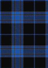 Lynn_Personal_Tartan_Fabric_5933