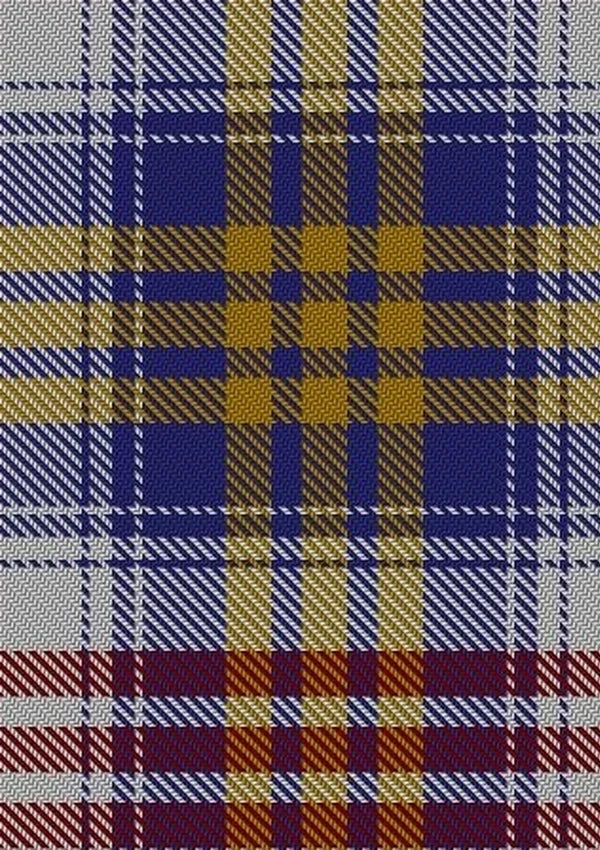 Lysaght_Dress_Tartan_Fabric_6593