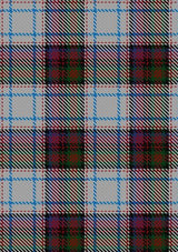 MacDonald_Dress_3_Tartan_Fabric_2001