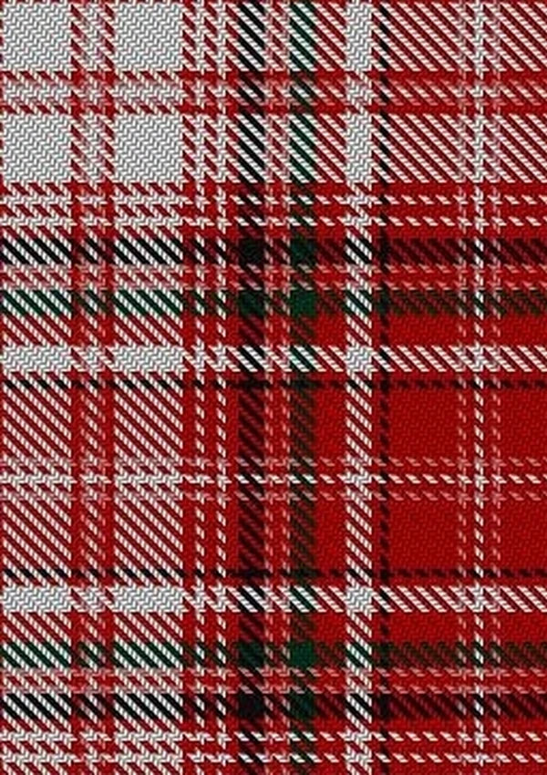 MacDougal_Dress_Tartan_Fabric_6433