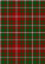 MacDougall_2005_Tartan_Fabric_6634