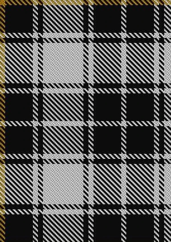 MacFie_of_Colonsay_Dress_Tartan_Fabric_3369