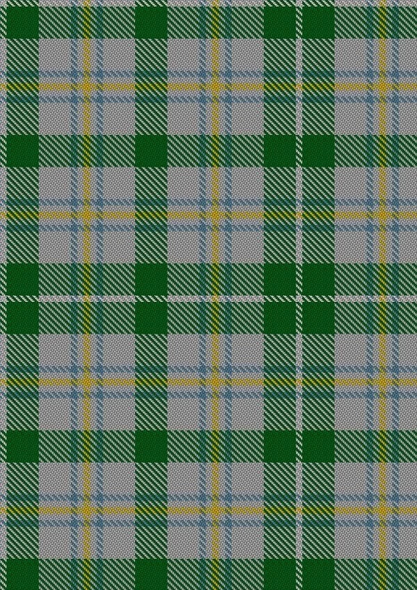 MacGiboney_Dress_Tartan_Fabric_3839