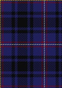 MacIver_of_Strome_Personal_Tartan_Fabric_5810