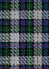 MacKenzie_Dress_4_Tartan_Fabric_1981