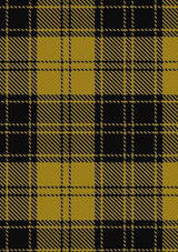 MacLachlan_4_Tartan_Fabric_1277