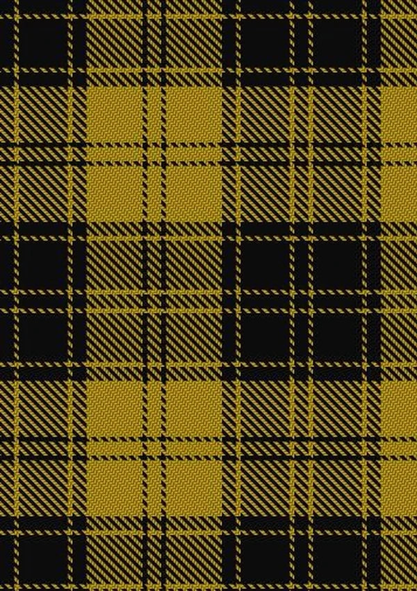 MacLachlan_4_Tartan_Fabric_1277