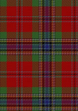 MacLean_of_Duart_2_Tartan_Fabric