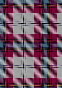 MacLean_of_Duart_Dress_4_Tartan_Fabric_59