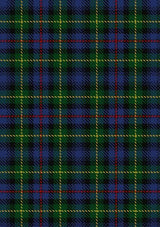 MacLeod_of_Gesto_2_Tartan_Fabric_280