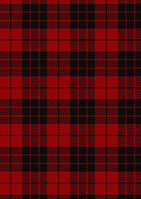 MacLeodofRaasayTartan