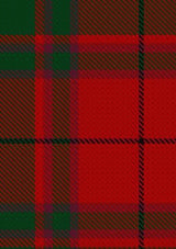 MacNab_VS_Tartan_Fabric_838