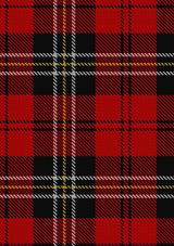 MacPherson_Red_Cluny_Tartan_Fabric_1610