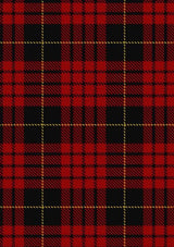 MacQueen_2_Tartan_Fabric_1209