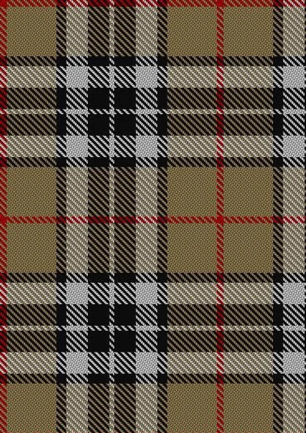 MacTavish_Thompson_Thomson_Camel_Tartan_Fabric_2421