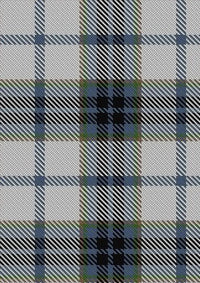 MacTavish_of_Dunardry_Dress_Tartan_Fabric_10731