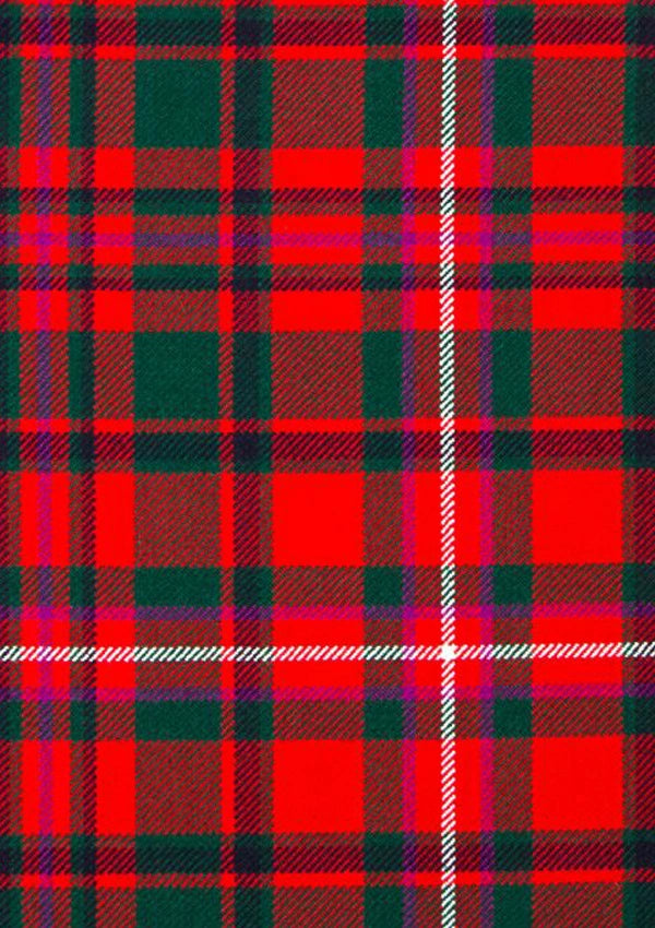 Mackinnon modern Tartan Fabric