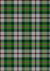 Madewell_Dress_Tartan_Fabric_4051